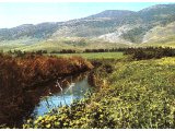 Mount Carmel and River Kishon.